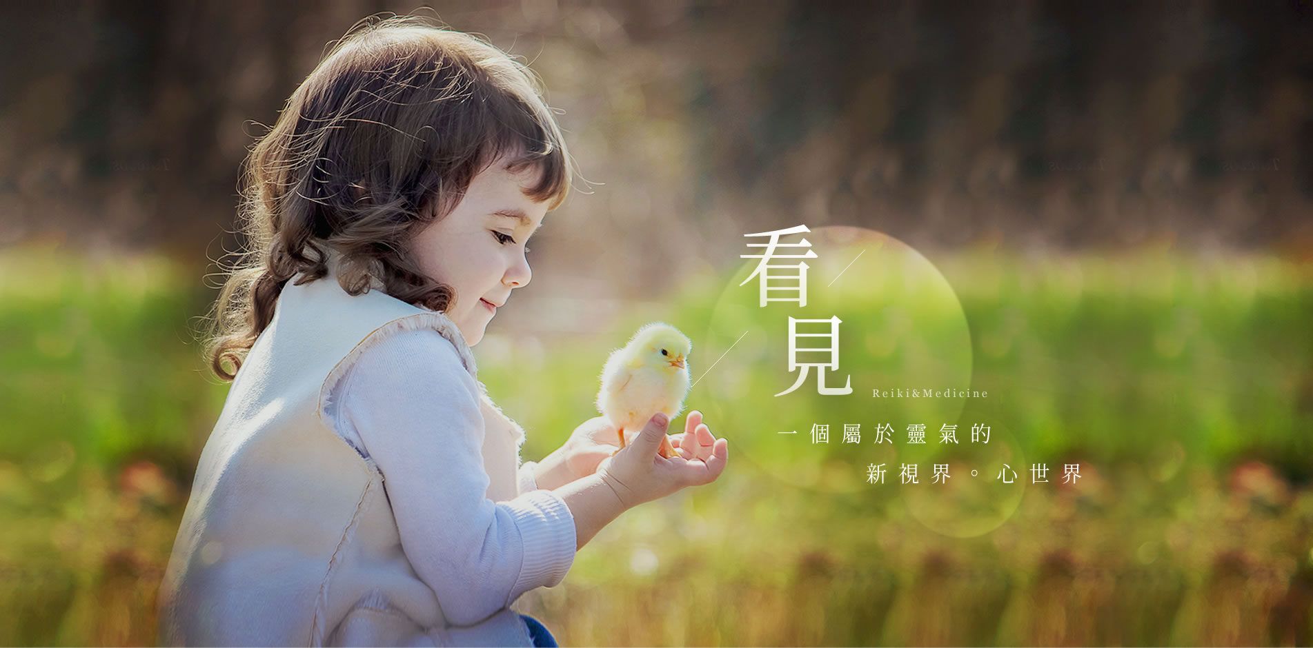 banner.jpg banner.jpg