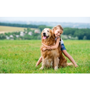 90087176_l_normal_none.jpg 90087176_l_normal_none.jpg