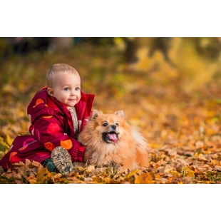 190454188_l_normal_none.jpg 190454188_l_normal_none.jpg